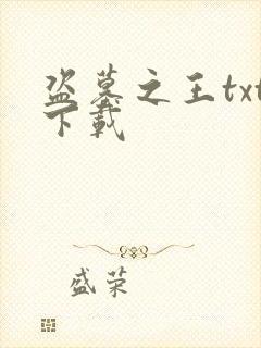 盗墓之王txt下载