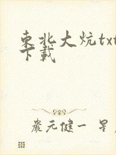 东北大炕txt下载