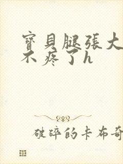 宝贝腿张大点就不疼了h