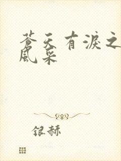 苍天有泪之军人风采