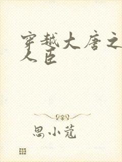 穿越大唐之位极人臣