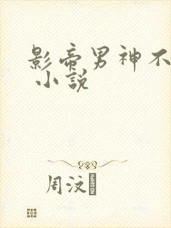 影帝男神不节制 小说