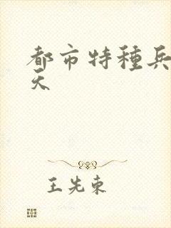 都市特种兵 任天