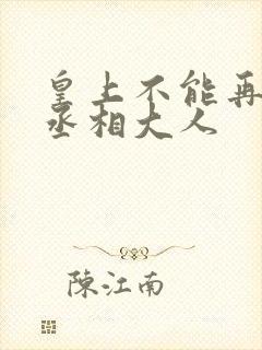 皇上不能再进了丞相大人