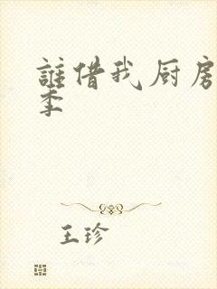 谁借我厨房第二季