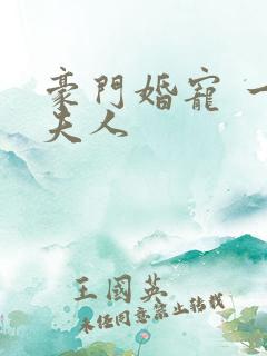 豪门婚宠 一品夫人