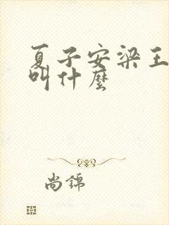 夏子安梁王书名叫什么