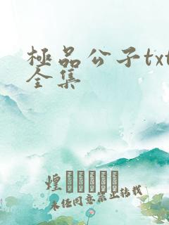 极品公子txt全集