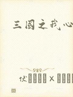 三国之我心狂想