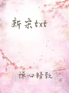 新宋txt