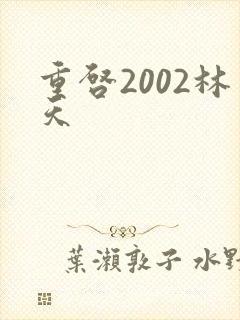 重启2002林天