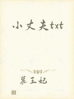 小丈夫txt