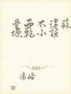 爱而不得苏路顾塬乾小说