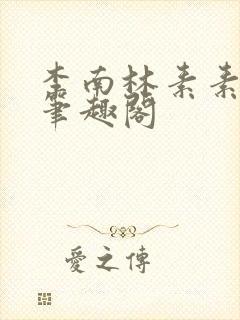 李南林素素小说笔趣阁