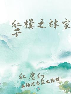红楼之林家庶长子