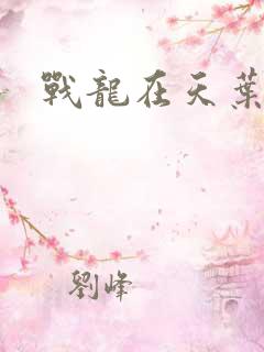 战龙在天叶凡