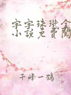 字字珠玑金银花小说免费阅读