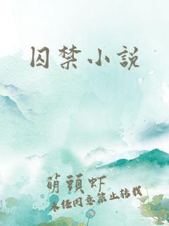 囚禁小说