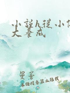 小说h从小做到大养成