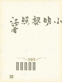 江照黎明小说原著