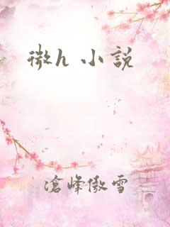 微h 小说