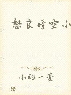 怒良晴空小说