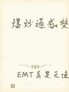 爆炒通感双胞胎