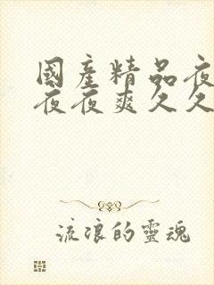 国产精品夜夜春夜夜爽久久小说