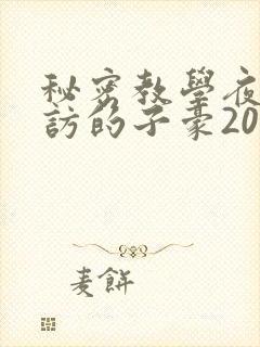 秘密教学夜晚到访的子豪20话