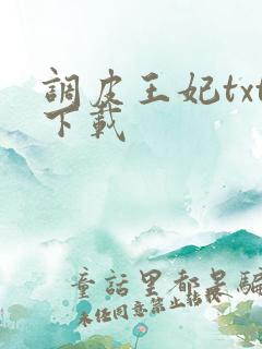 调皮王妃txt下载