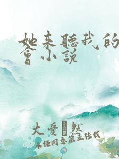 她来听我的演唱会小说