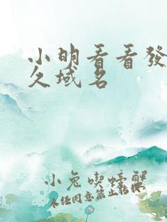 小明看看发布永久域名