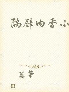 隔壁肉香小说