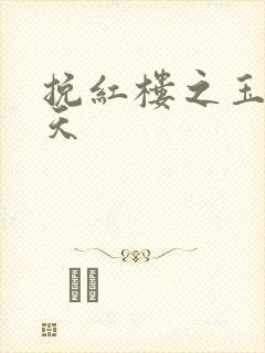 挽红楼之玉舞九天