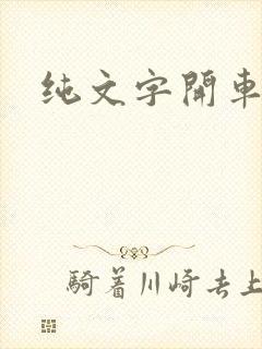 纯文字开车