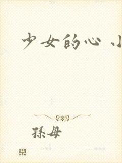 少女的心 小说