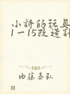 小诗的玩具日记1一15改造计划