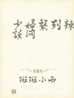 少妇系列辣文小说网