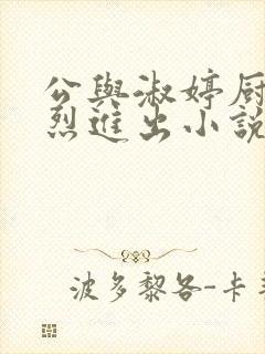 公与淑婷厨房猛烈进出小说