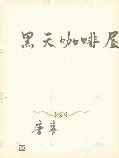 黑天咖啡屋