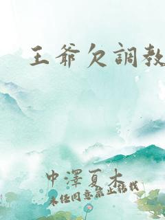 王爷欠调教