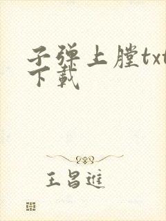 子弹上膛txt下载