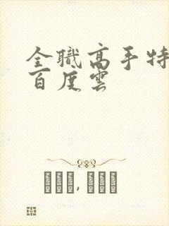 全职高手特别篇百度云