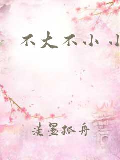 不大不小 小说