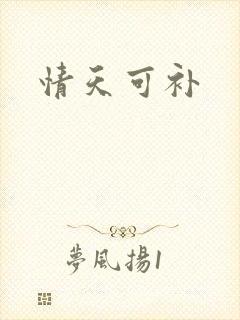 情天可补