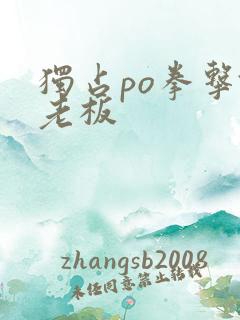 独占po拳击馆老板