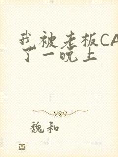 我被老板CAO了一晚上