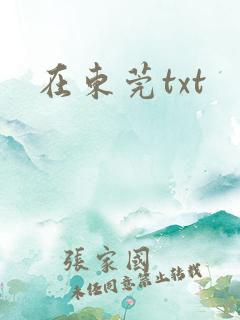 在东莞txt
