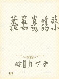 萧严肖晴苏雨溪谭如燕的小说