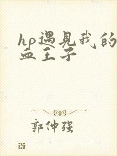 hp遇见我的混血王子